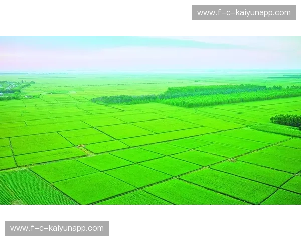 汉诺威与汉堡：北德双雄的绿色足迹与城市魅力